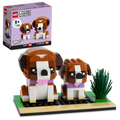 D10-40543 DAMAGED St. Bernard