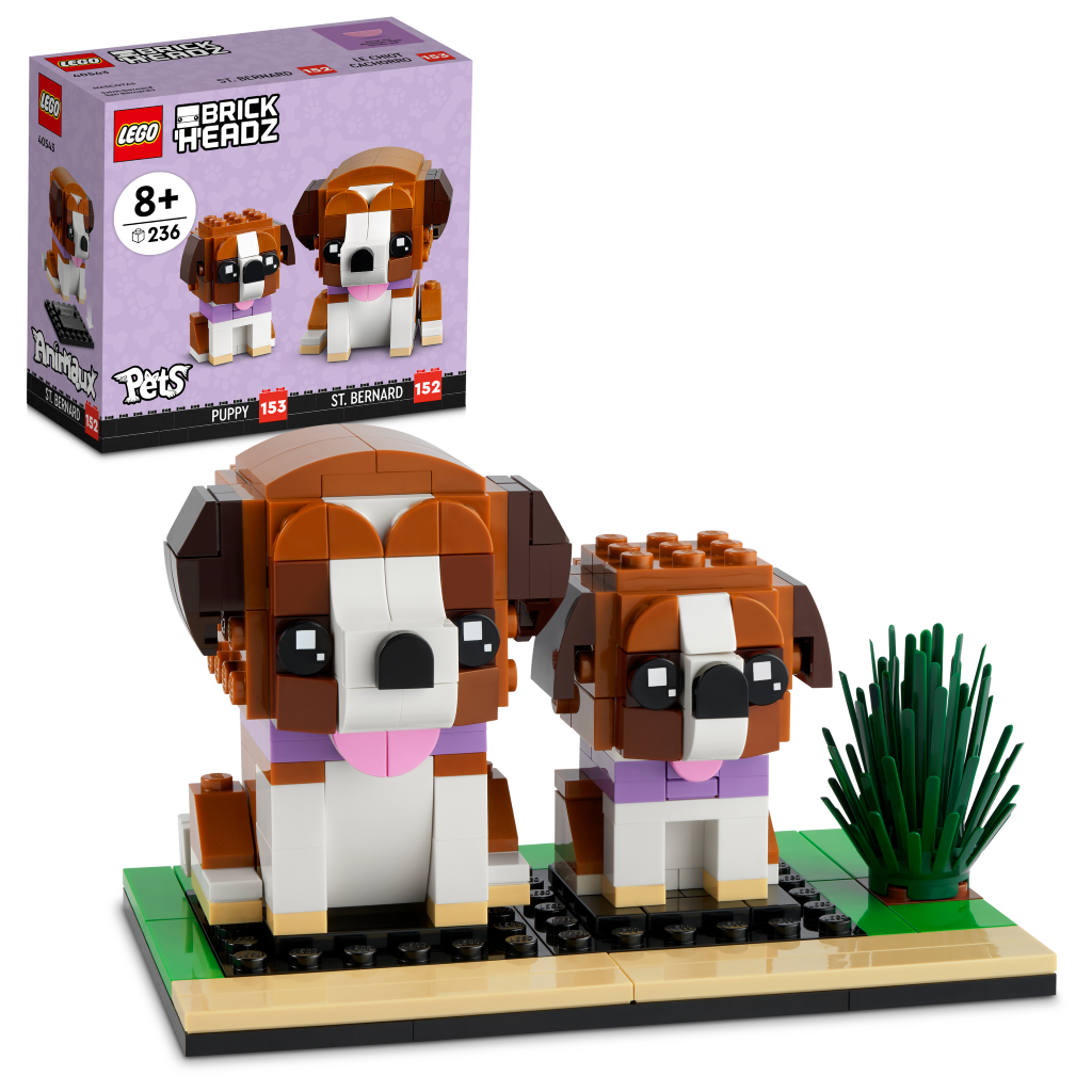 D10-40543 DAMAGED St. Bernard