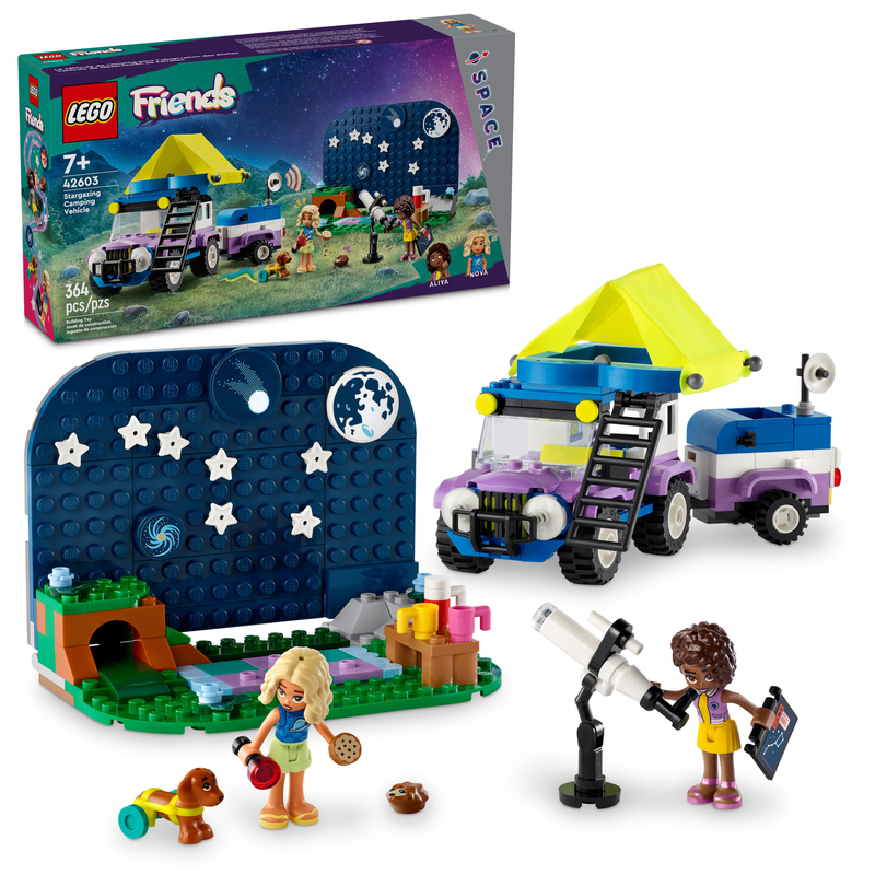 42603 Friends Stargazing Camping Vehicle