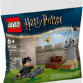 30706 GWP Harry Potter Quidditch Training Polybag