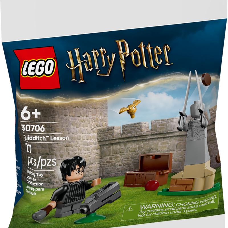 30706 GWP Harry Potter Quidditch Training Polybag