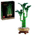 U-10344 USED Botanicals Lucky Bamboo