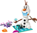 43287 Disney Olaf and Bruni’s Picnic Fun