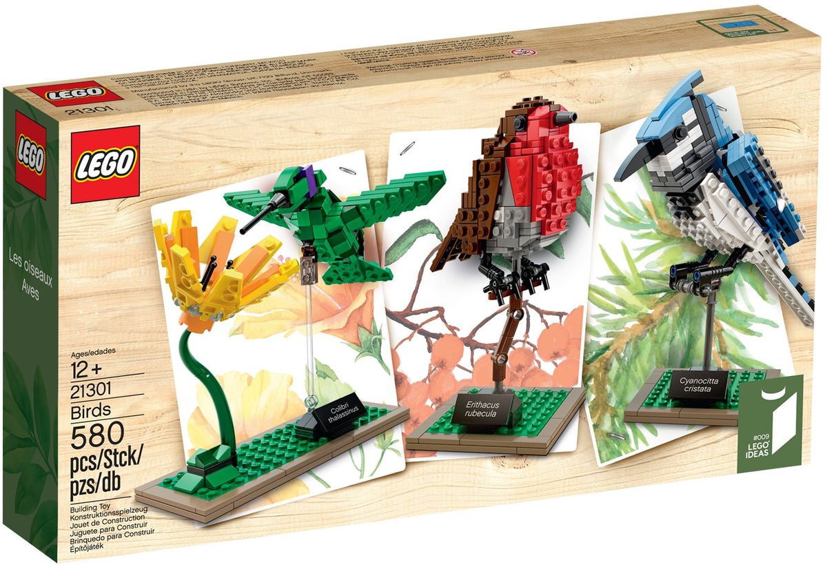 21301 Ideas Birds