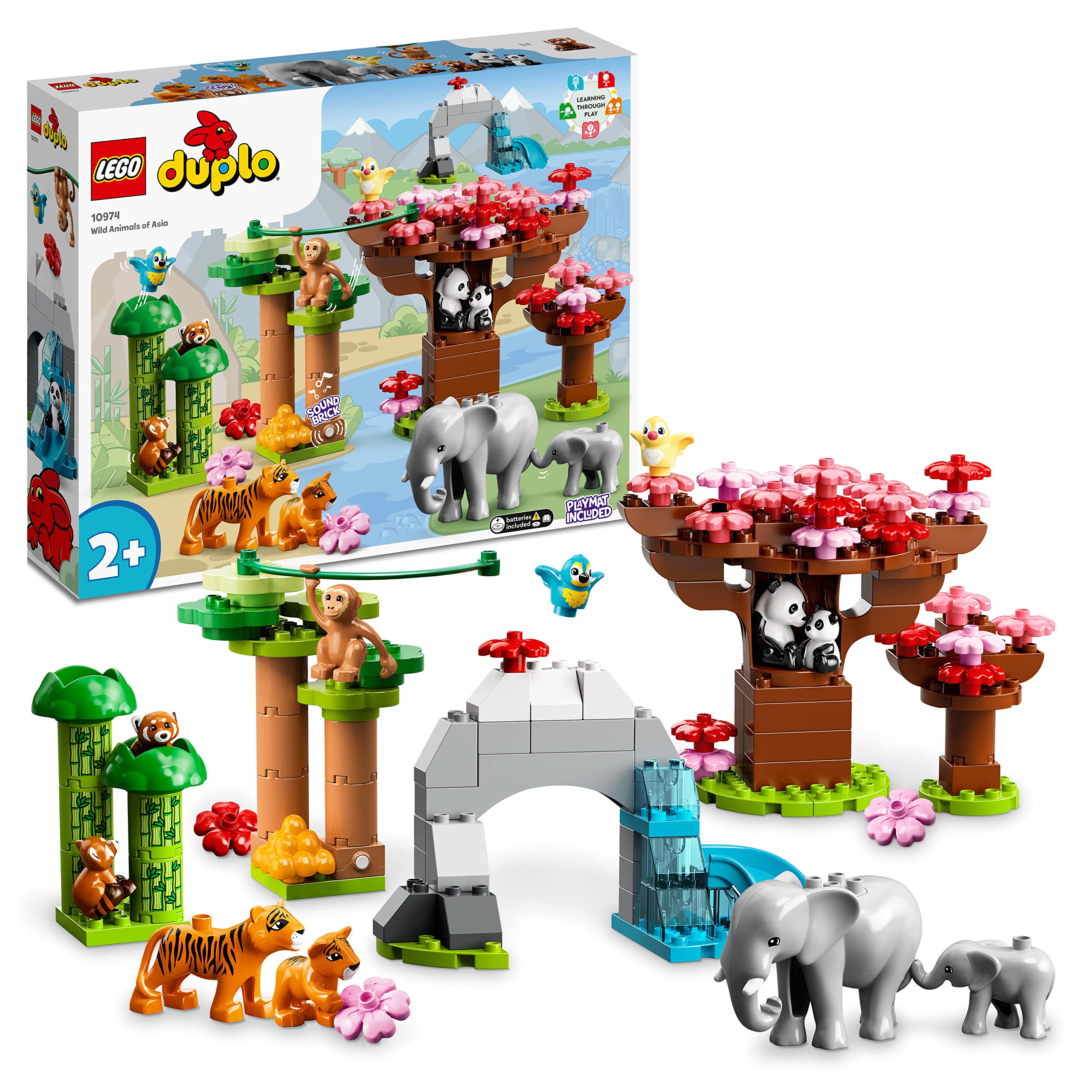 D10-10974 Damaged Wild Animals of Asia