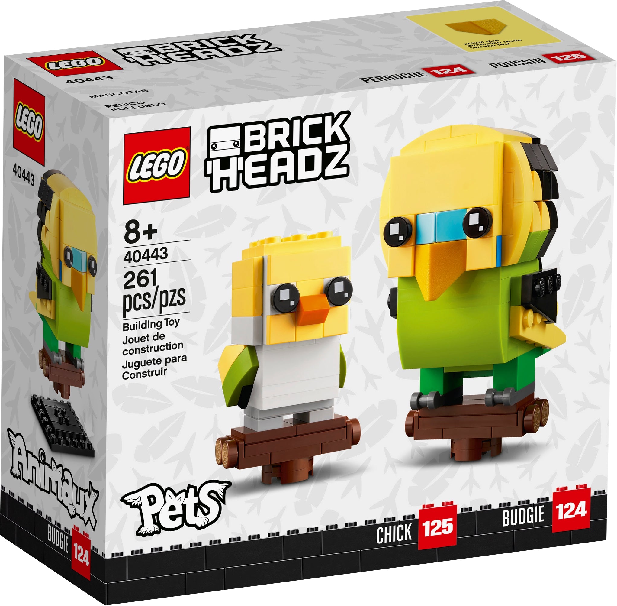 40443 Budgies