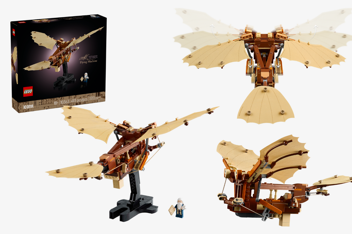 10363 Icons Leonardo da Vinci's Flying Machine