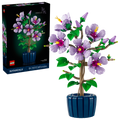 10372 Botanicals Hibiscus