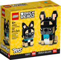 D10-40544 DAMAGED French Bulldog
