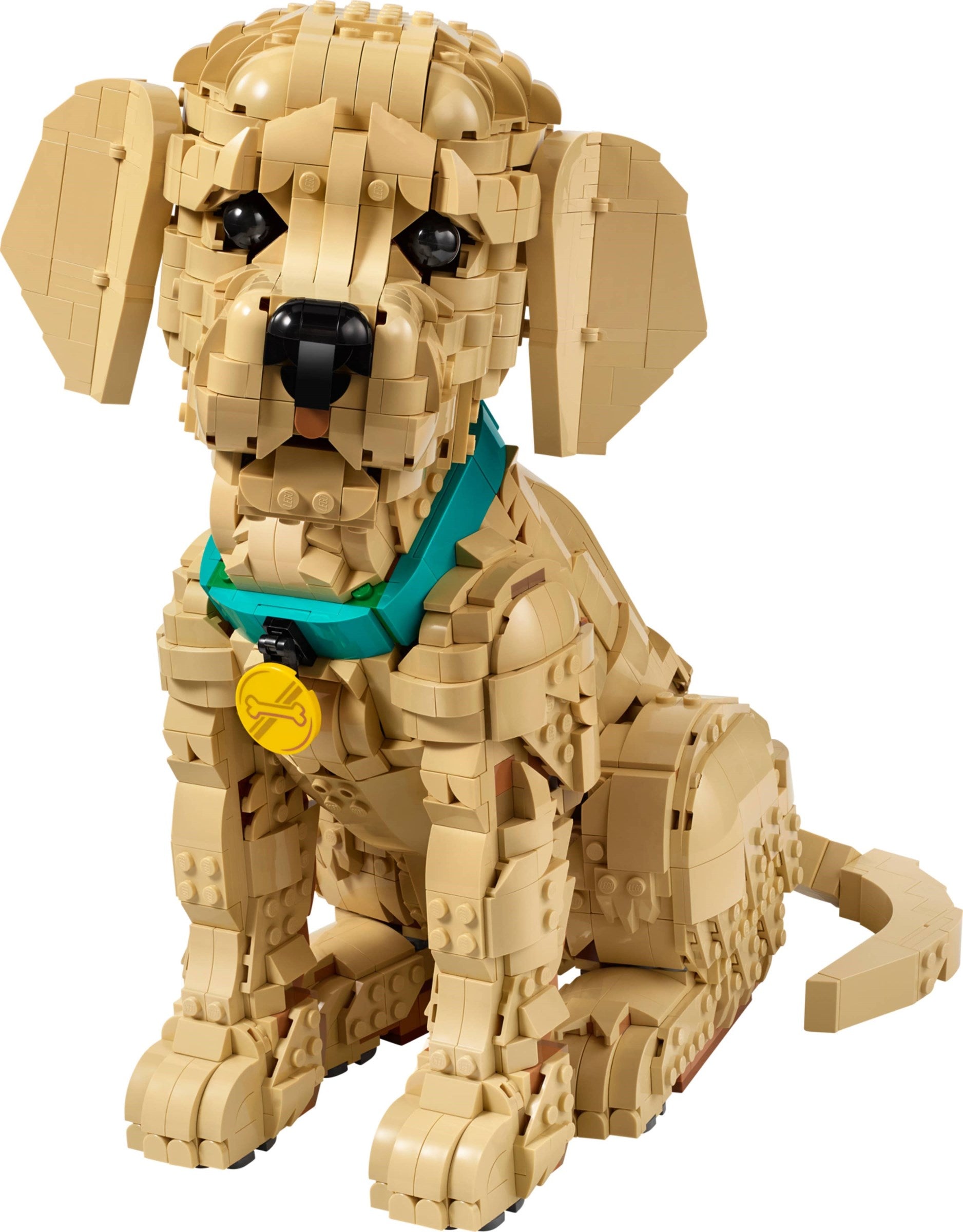 11384 Icons Golden Retriever Puppy