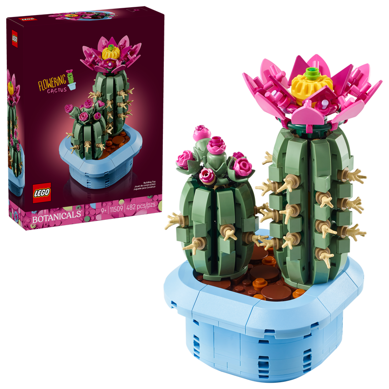 11509 Botanicals Flowering Cactus