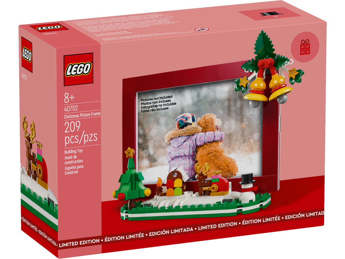 D10-40702 Damaged Christmas Picture Frame