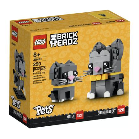 D20-40441 DAMAGED Shorthair Cats