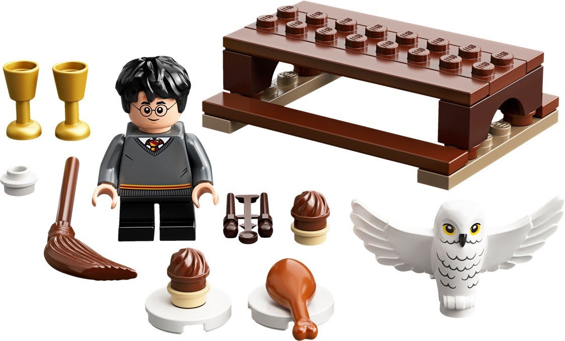 30420 Harry Potter and Hedwig: Owl Delivery Polybag