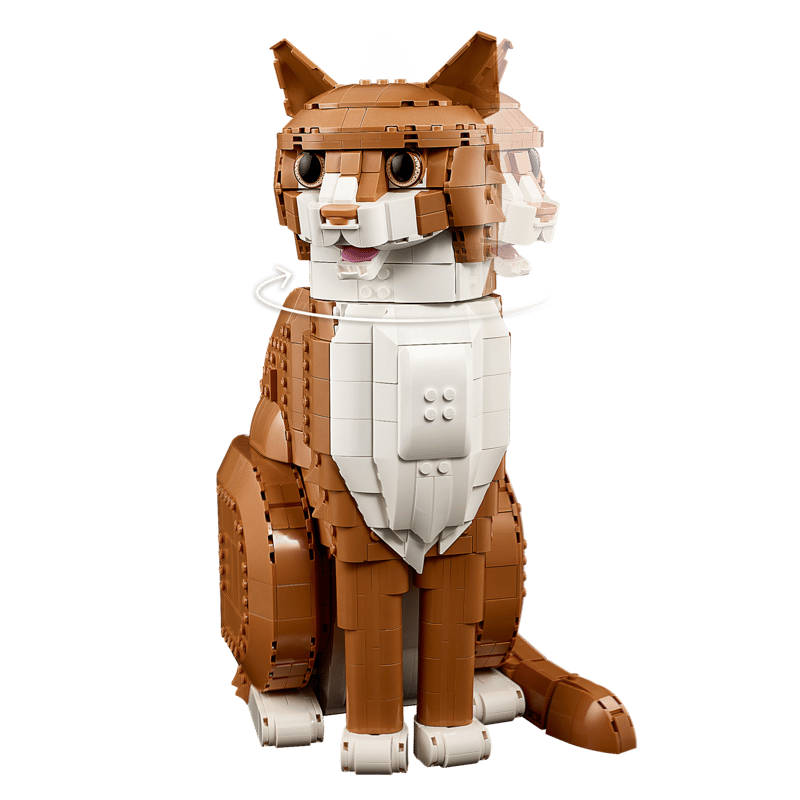 21376 Ideas Orange Cat