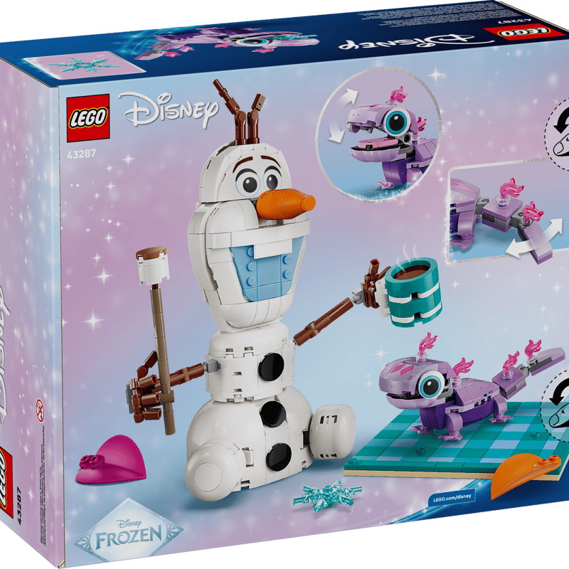 43287 Disney Olaf and Bruni’s Picnic Fun