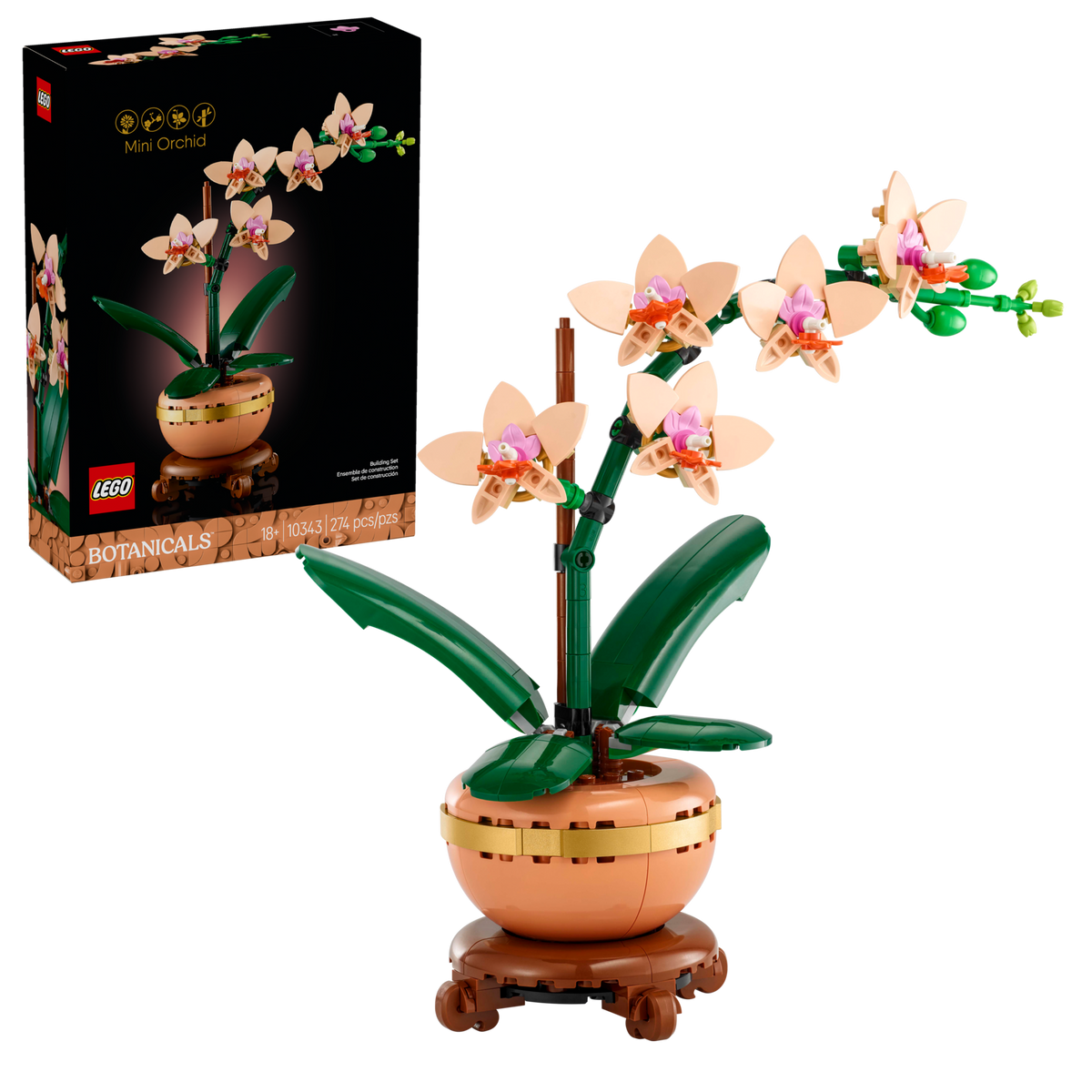 D10-10343 Damaged Botanicals Mini Orchid