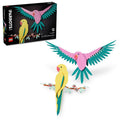 31211 Macaw Parrots