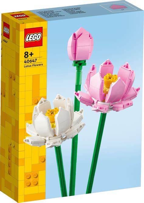 40647 Lotus Flowers