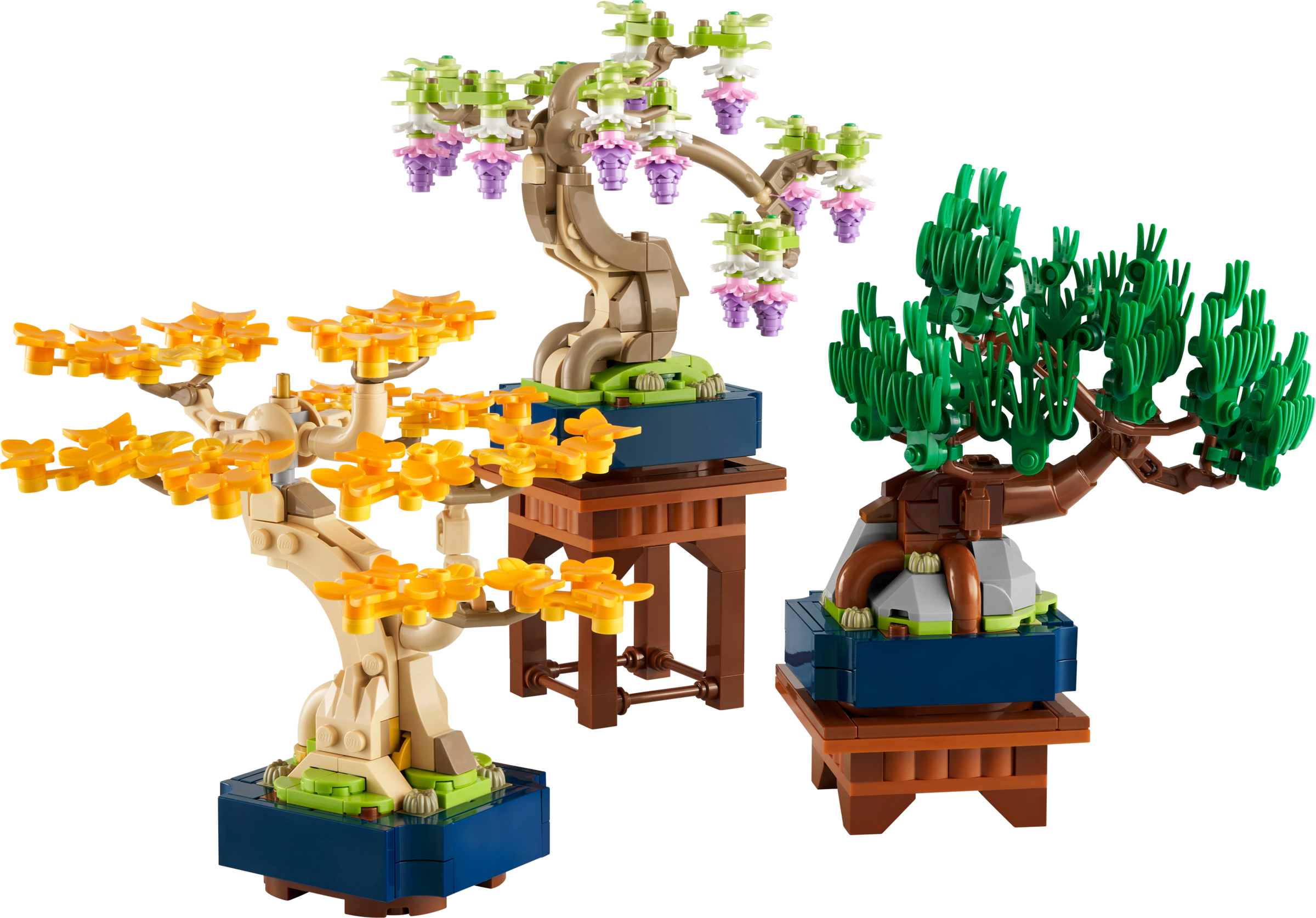 U-10373 USED Botanicals Mini Bonsai Trees