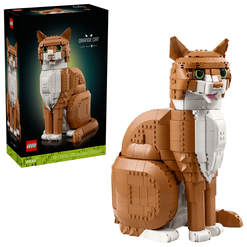 21376 Ideas Orange Cat
