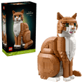 21376 Ideas Orange Cat