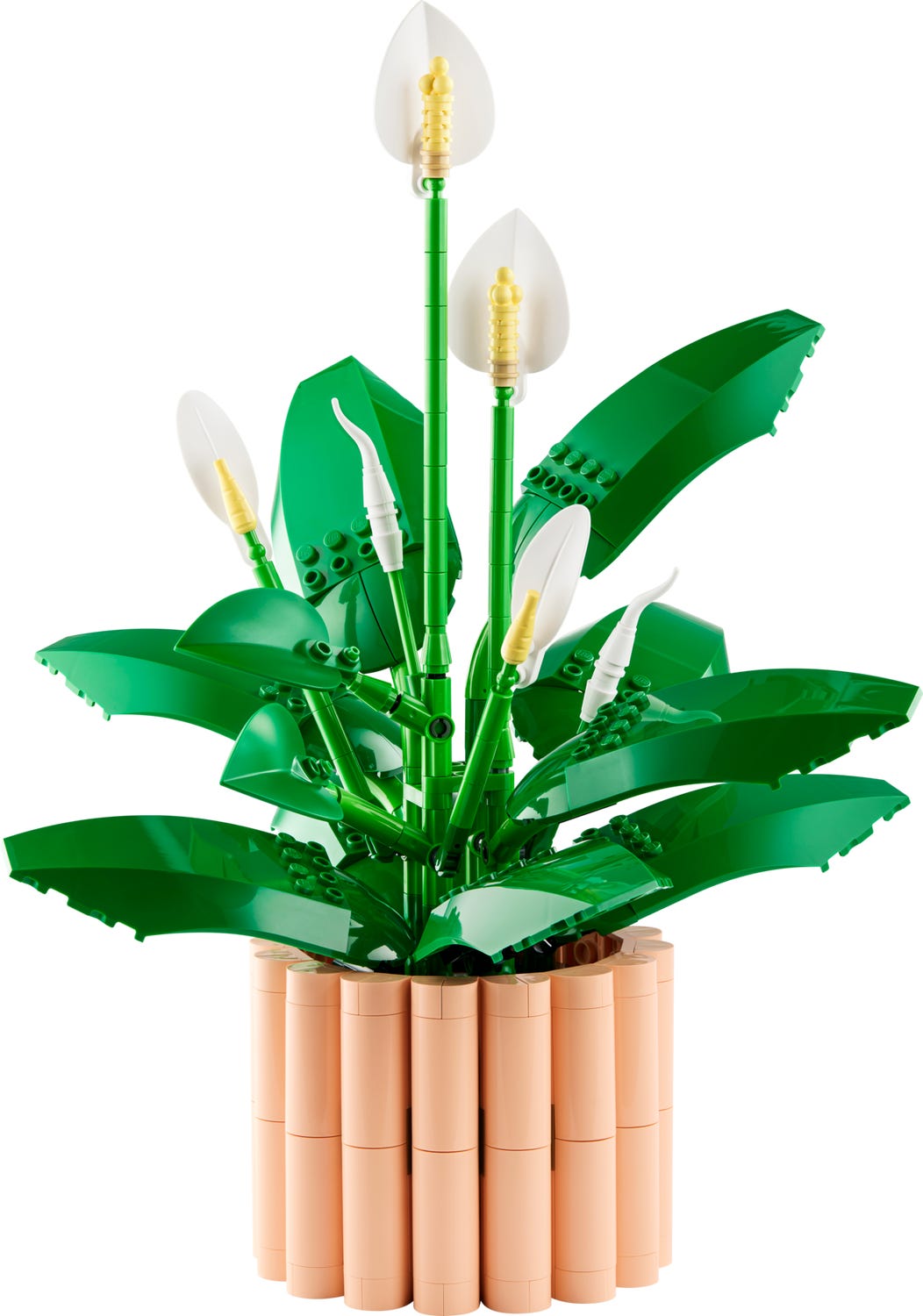 11504 Botanicals Peace Lily