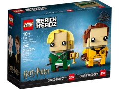 40617 Draco Malfoy & Cedric Diggory