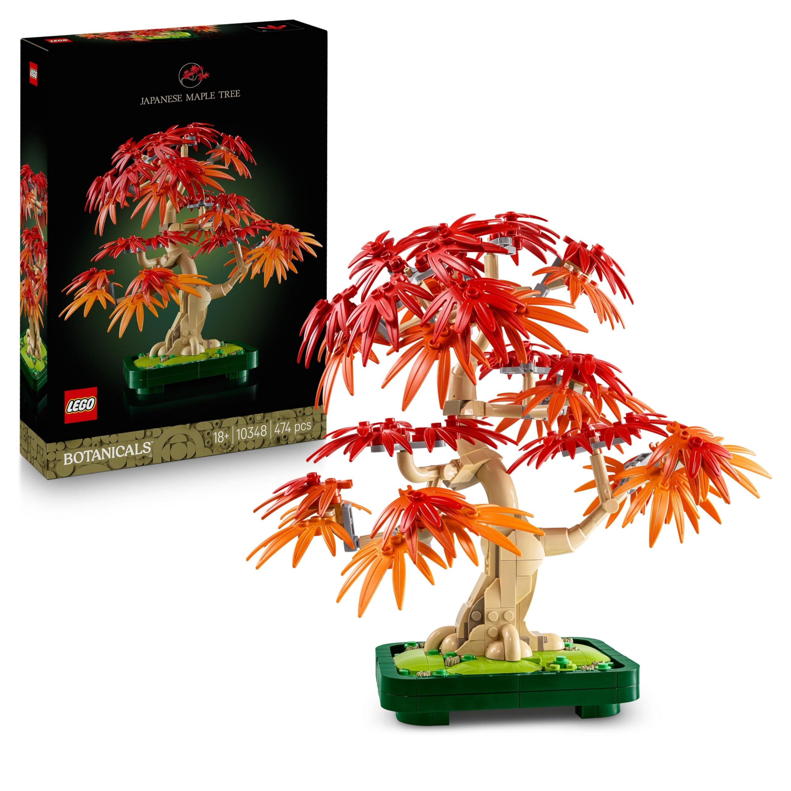 10348 Botanicals Japanese Red Maple Bonsai Tree
