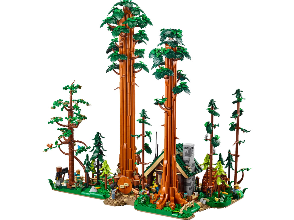 910058 Sequoia Tree Trail