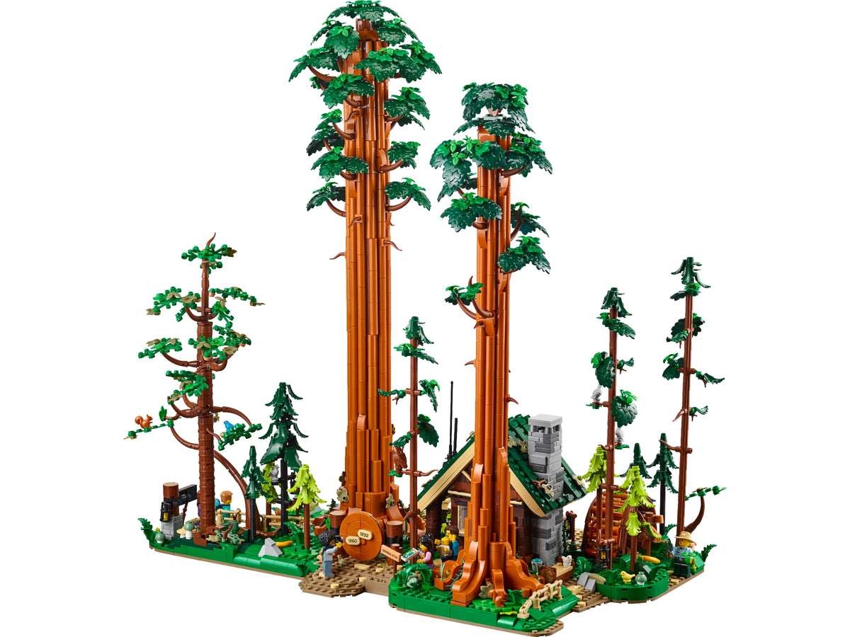 910058 Sequoia Tree Trail