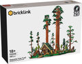 910058 Sequoia Tree Trail